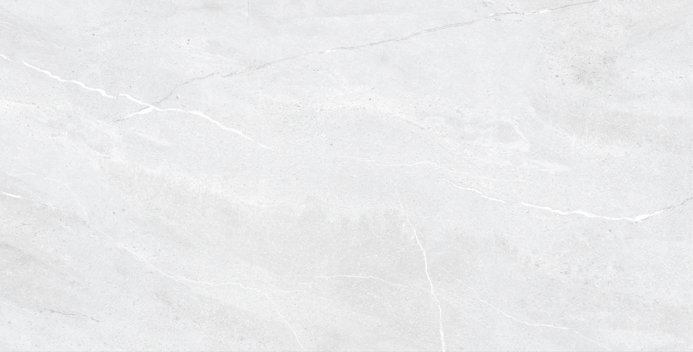 Gresie - Foxin white - Mat - 60x120