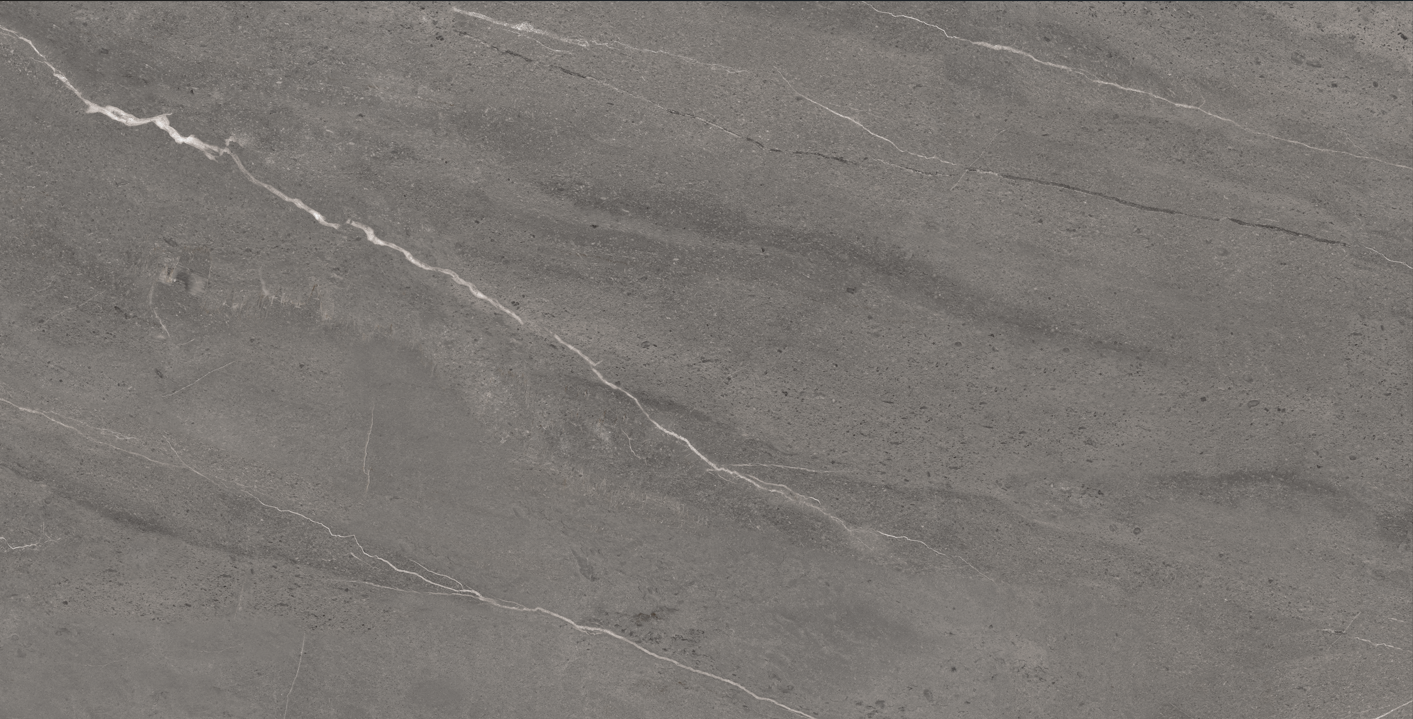 Gresie - Foxin Grey - Mat - 60x120