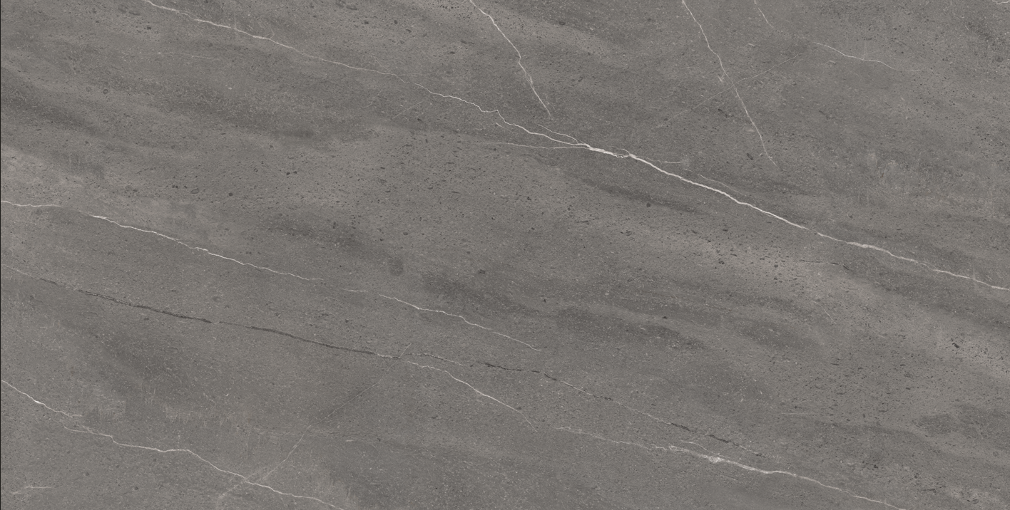 Gresie - Foxin Grey - Mat - 60x120