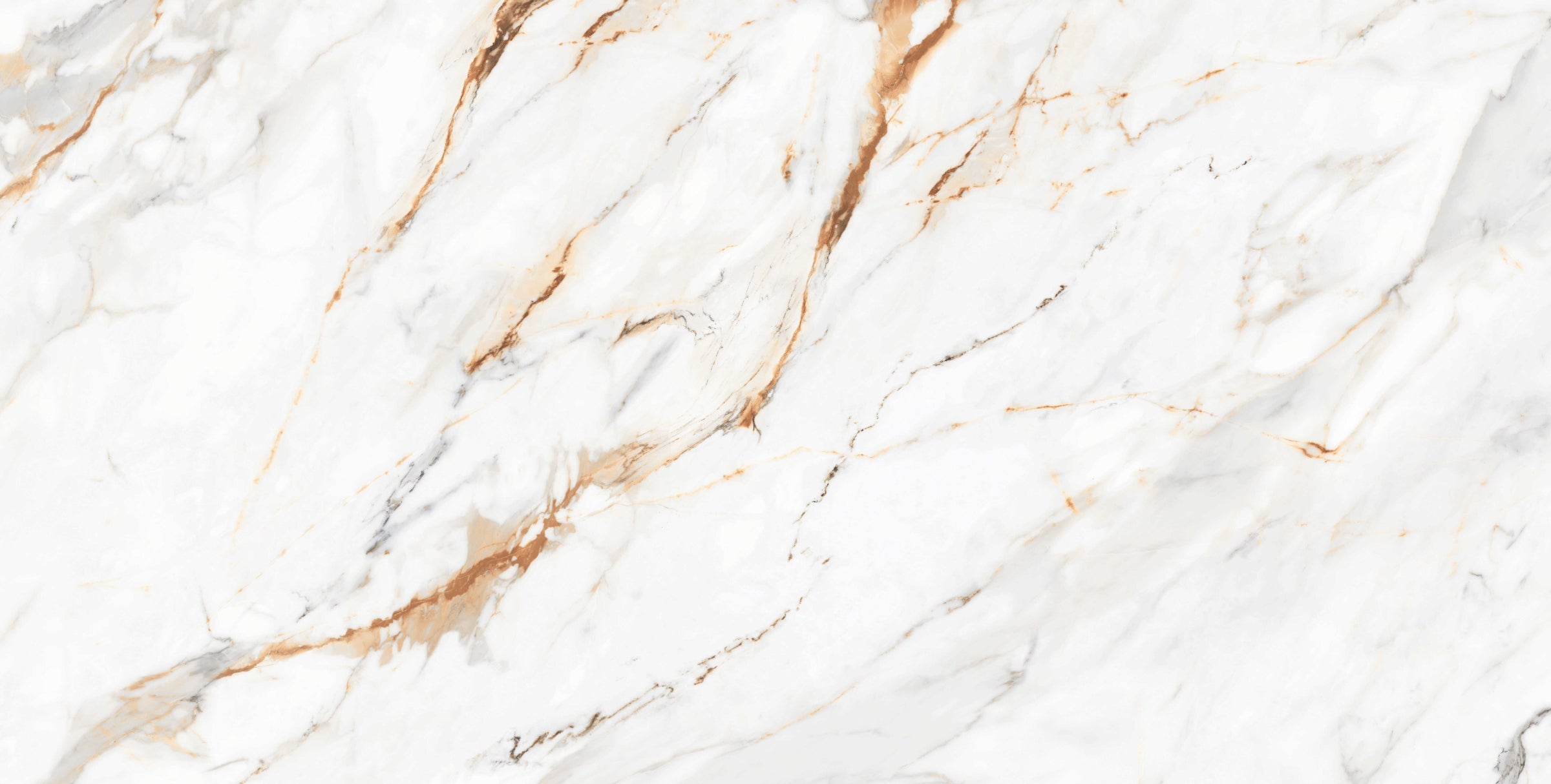 Calacatta Gold – Lucios – 60x120 cm