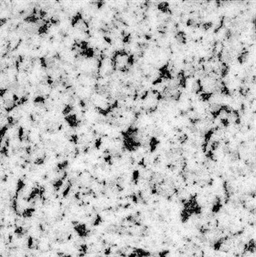 Treapta din Granit Bianco Halayeb - 33x130x2 cm - Lustruit