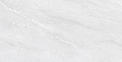 Gresie - Foxin white - Mat - 60x120