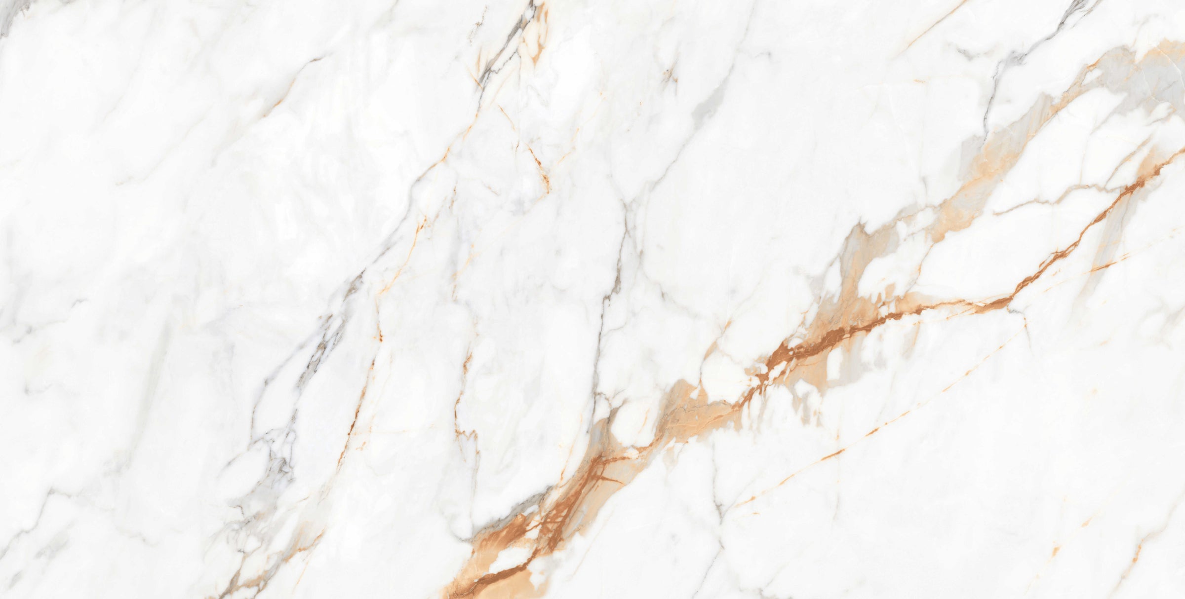 Calacatta Gold – Lucios – 60x120 cm