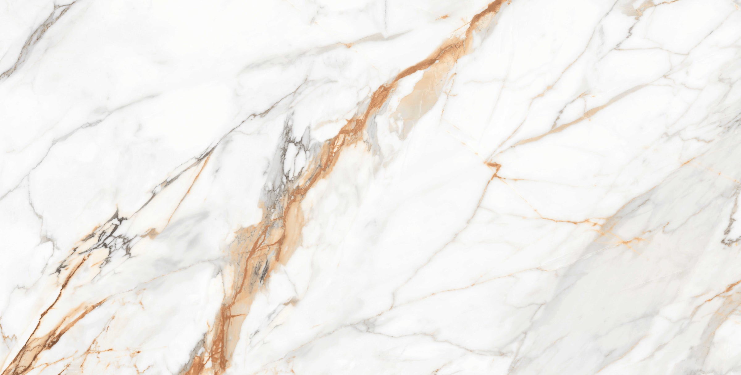 Calacatta Gold – Lucios – 60x120 cm